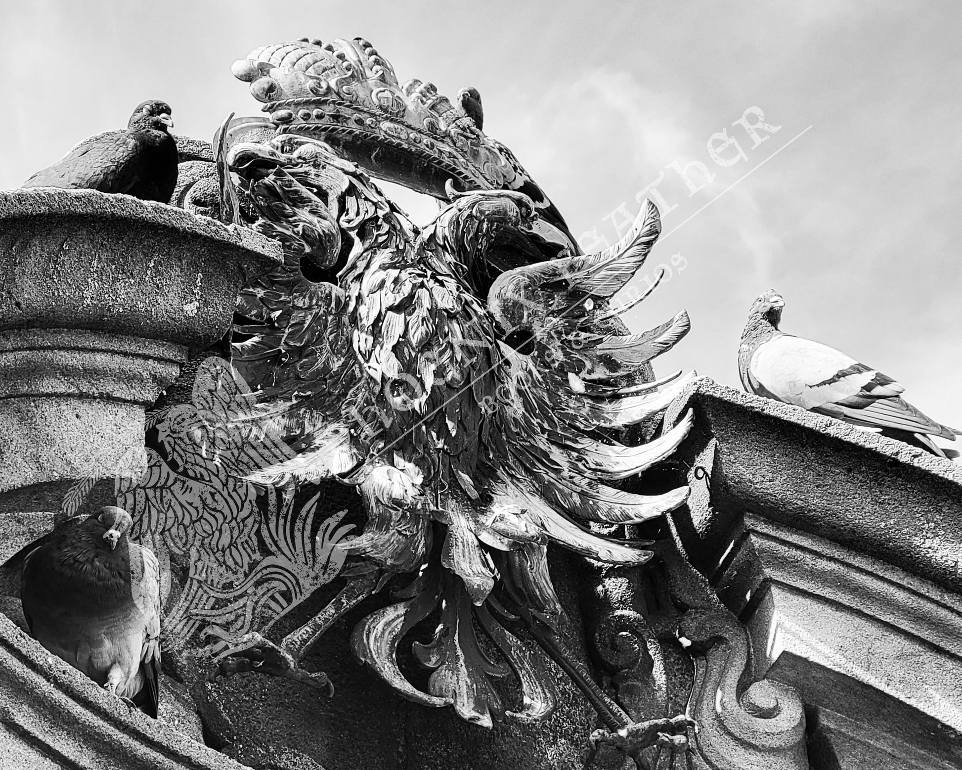 Travel photography for sale.  Gifts for history lovers and travelers. A dramatic black and white photograph from Nuremburg, Germany, showing pigeons on the German double-headed eagle crest. Size: 8"x 10" bird photo